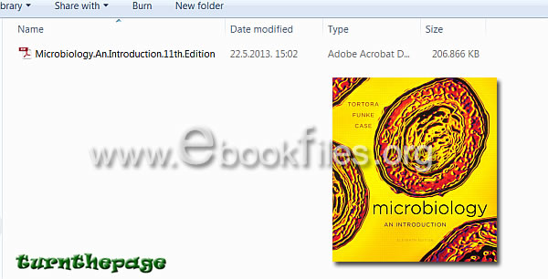 Foundations In Microbiology Pdf
